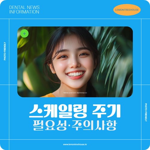 스케일링 주기